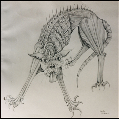 Le chat dragon Le chat dragon