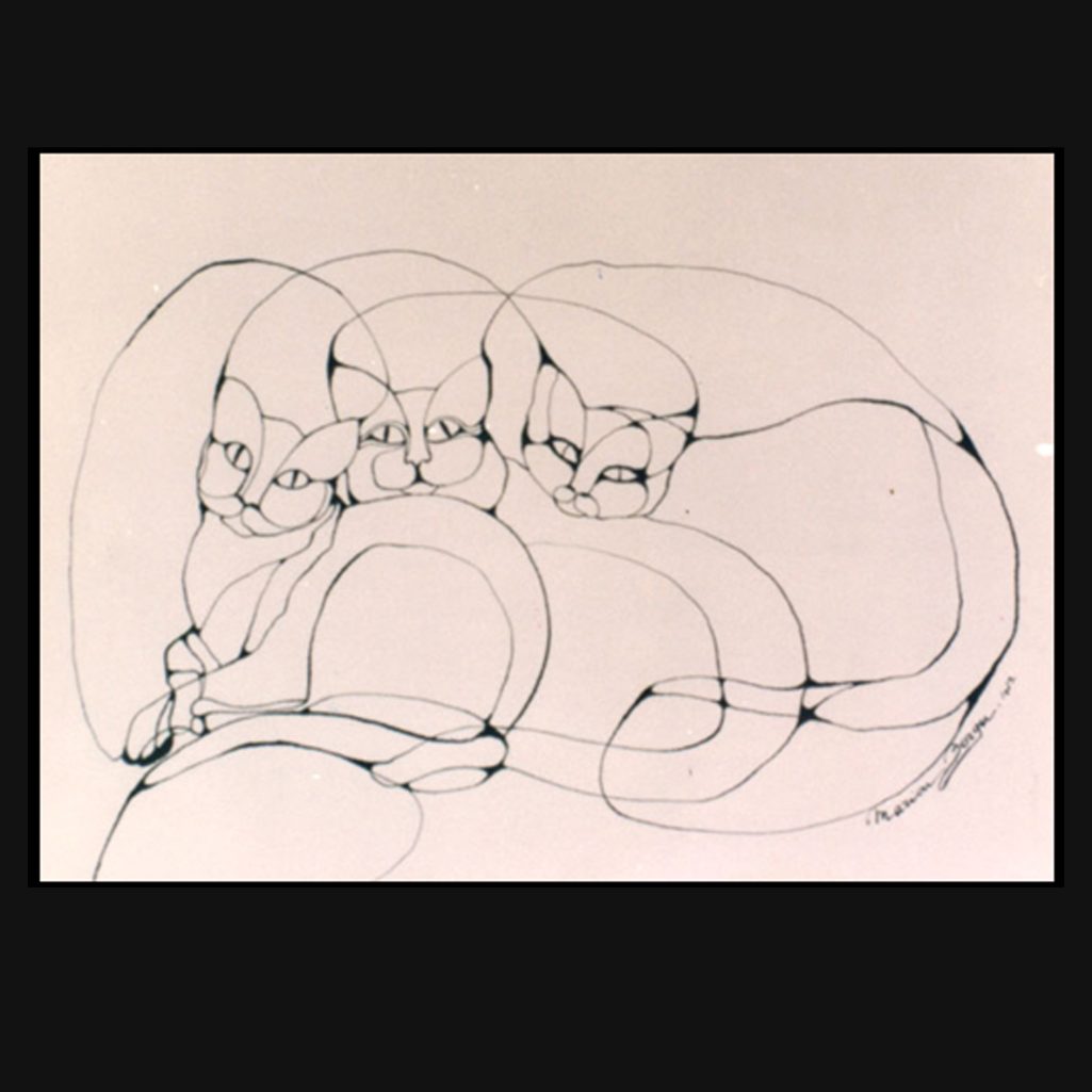 Trois chats Trois chats